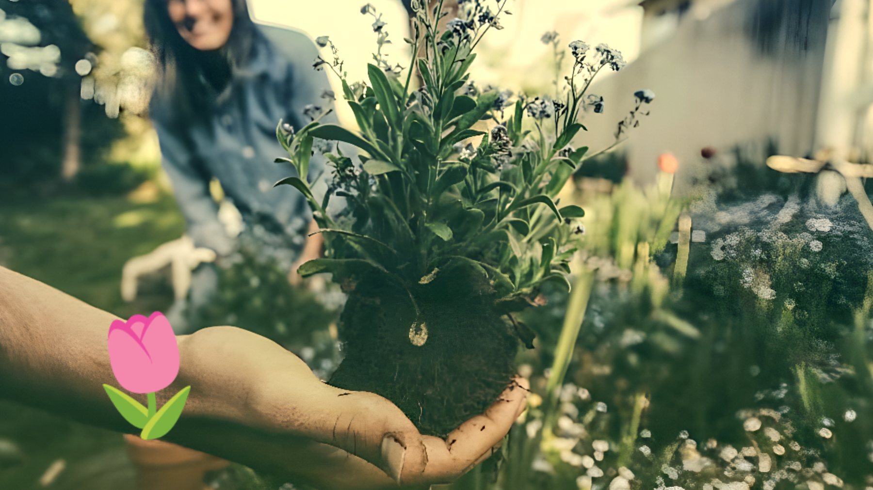 Date cruciali per il tuo giardino"