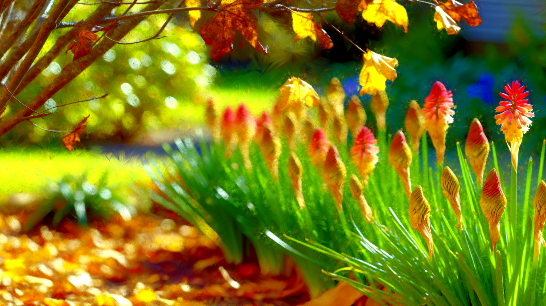 Giardino autunnale bulbi colori inaspettati"