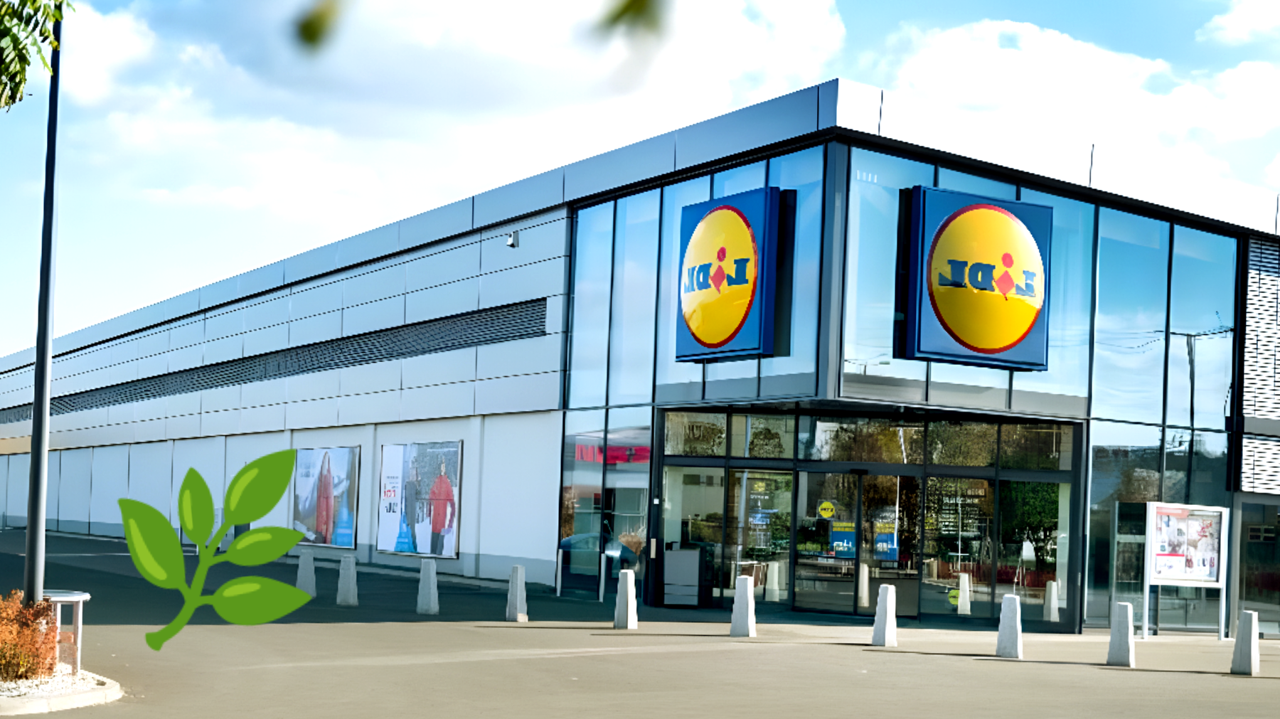 Weekend verde da Lidl: offerte su piante per tutti!"